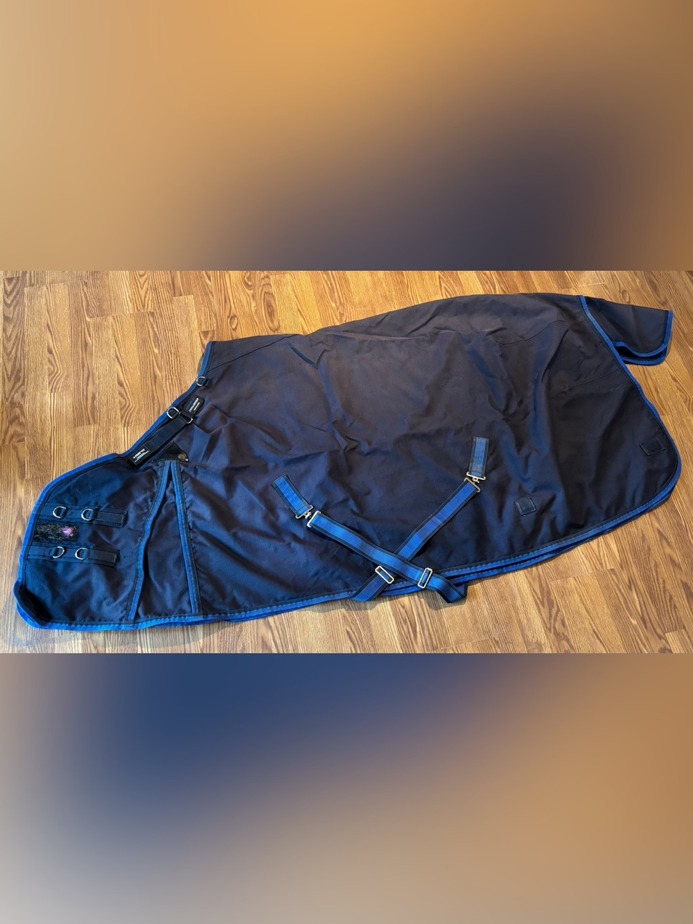 Schneider’s V-Free Challenger- Size 78”